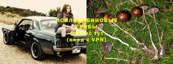 прущие крисы Армянск