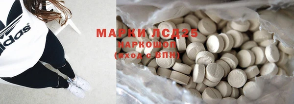 ГАЛЛЮЦИНОГЕННЫЕ ГРИБЫ Балахна