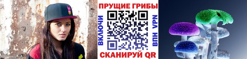 МЕГА   Ржев  Псилоцибиновые грибы Psilocybe 